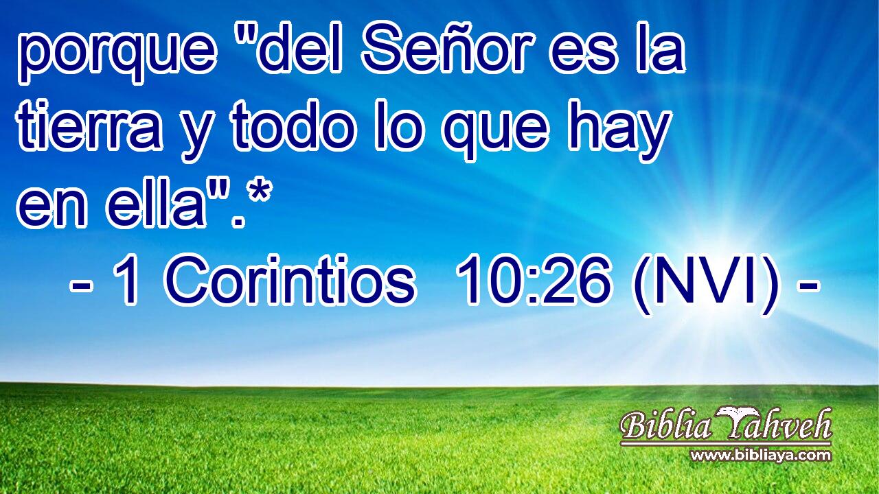  porque 