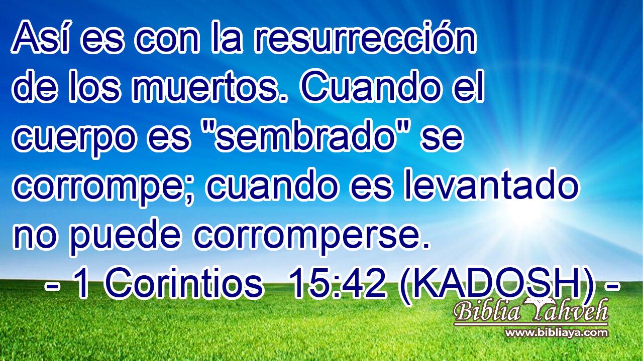  Así es con la resurrección de los muertos. Cuando el cuerpo es 
