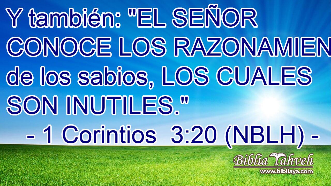  Y también: 