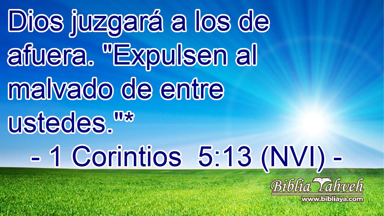  Dios juzgará a los de afuera. 
