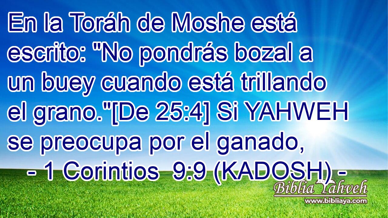  En la Toráh de Moshe está escrito: 