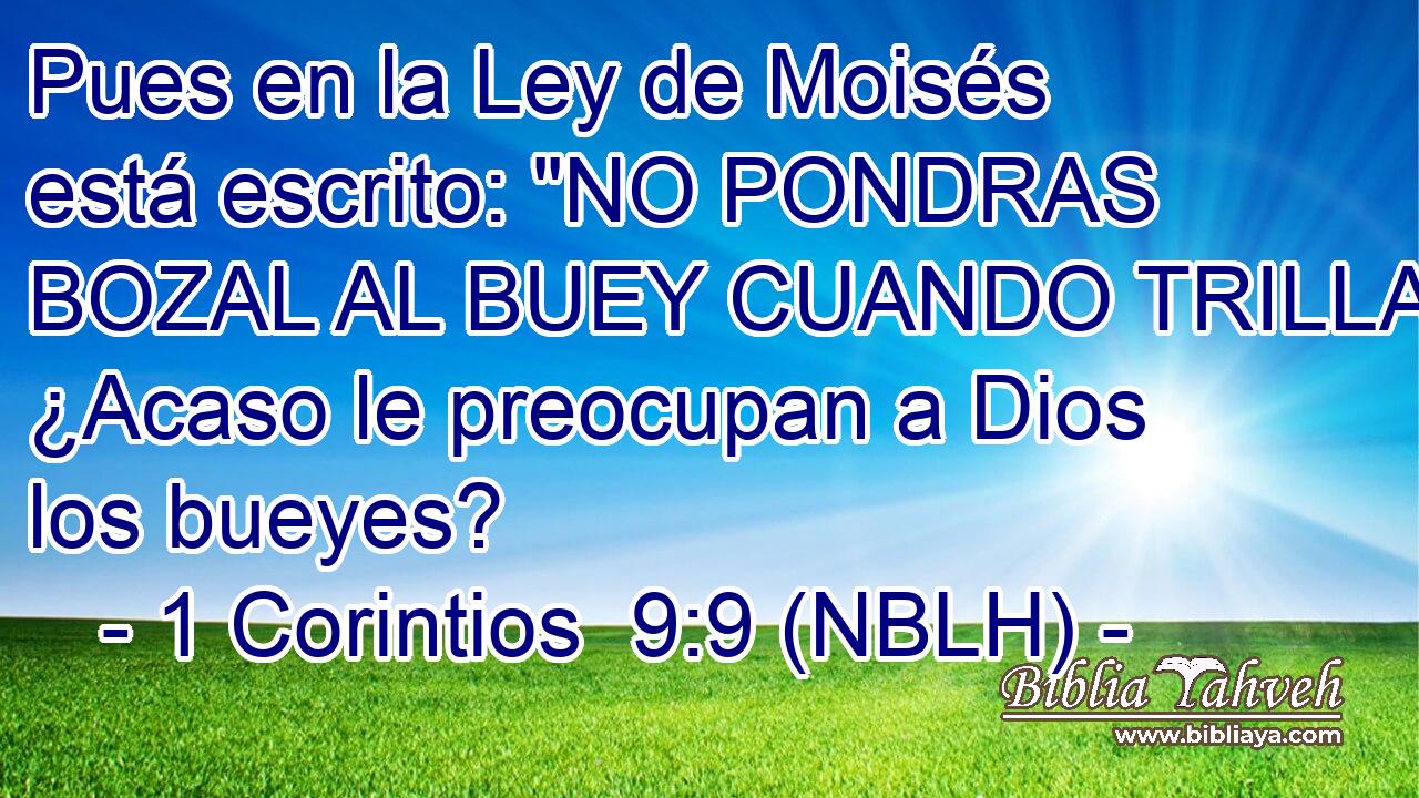  Pues en la Ley de Moisés está escrito: 