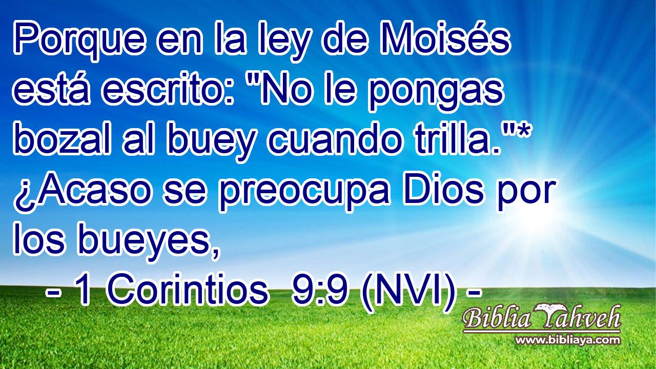  Porque en la ley de Moisés está escrito: 