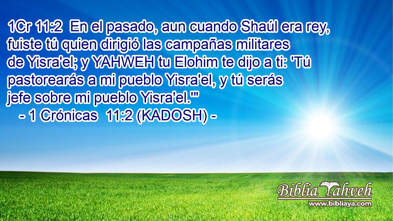  En el pasado, aun cuando Shaúl era rey, fuiste tú quien dirigió las campañas militares de Yisra'el; y YAHWEH tu Elohim te dijo a ti: 'Tú pastorearás a mi pueblo Yisra'el, y tú serás jefe sobre mi pueblo Yisra'el.'