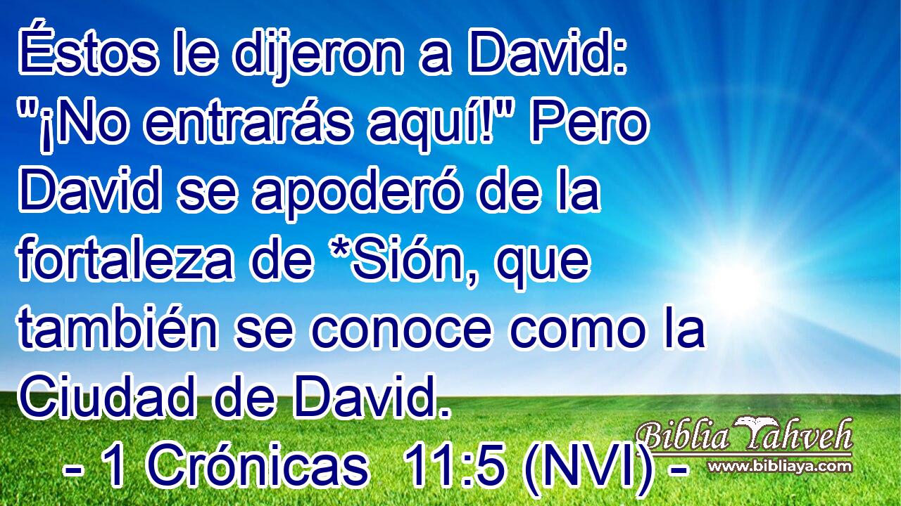  Éstos le dijeron a David: 