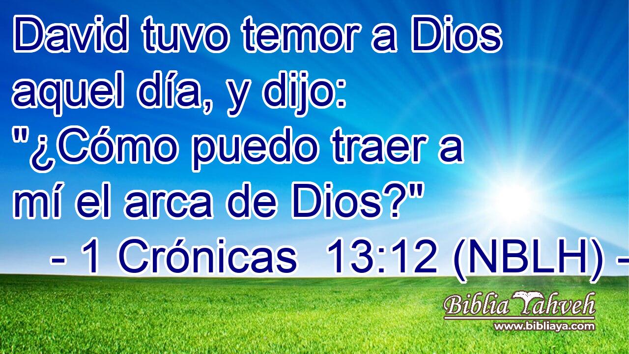  David tuvo temor a Dios aquel día, y dijo: 