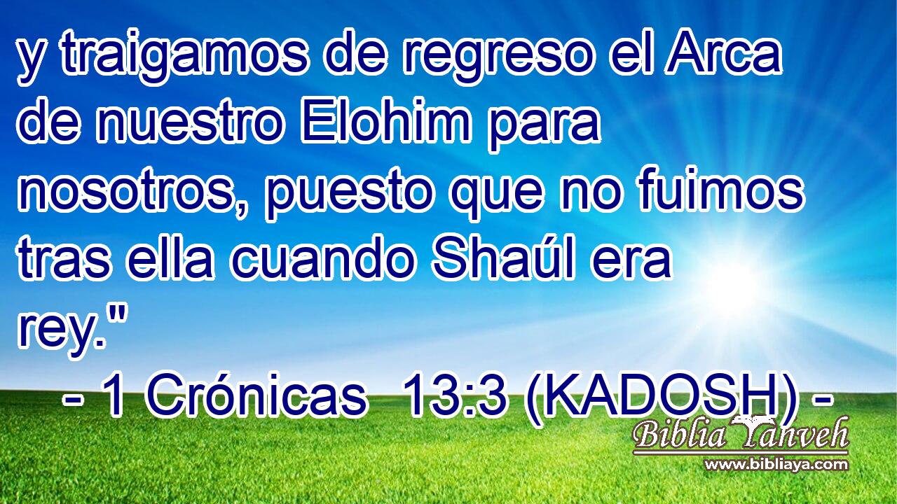  y traigamos de regreso el Arca de nuestro Elohim para nosotros, puesto que no fuimos tras ella cuando Shaúl era rey.