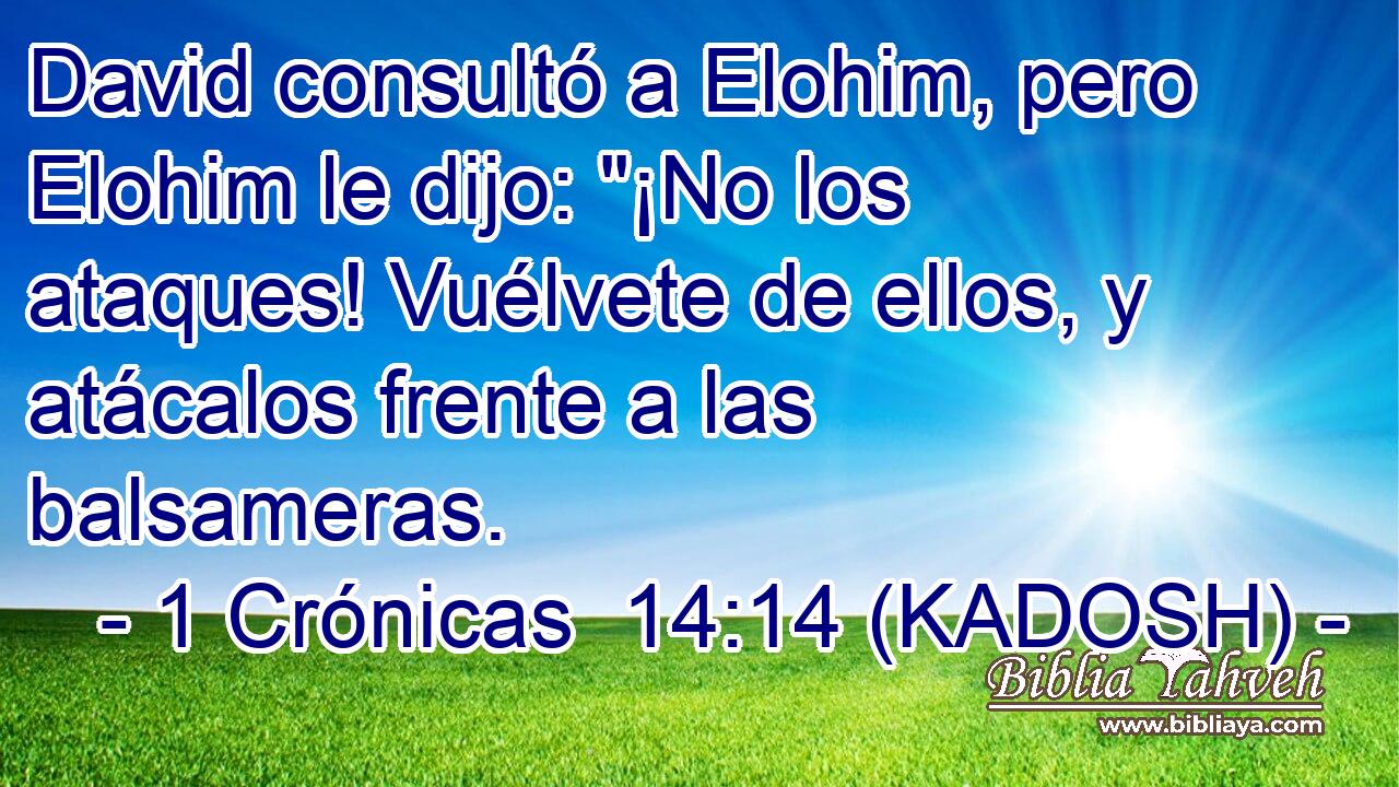  David consultó a Elohim, pero Elohim le dijo: 