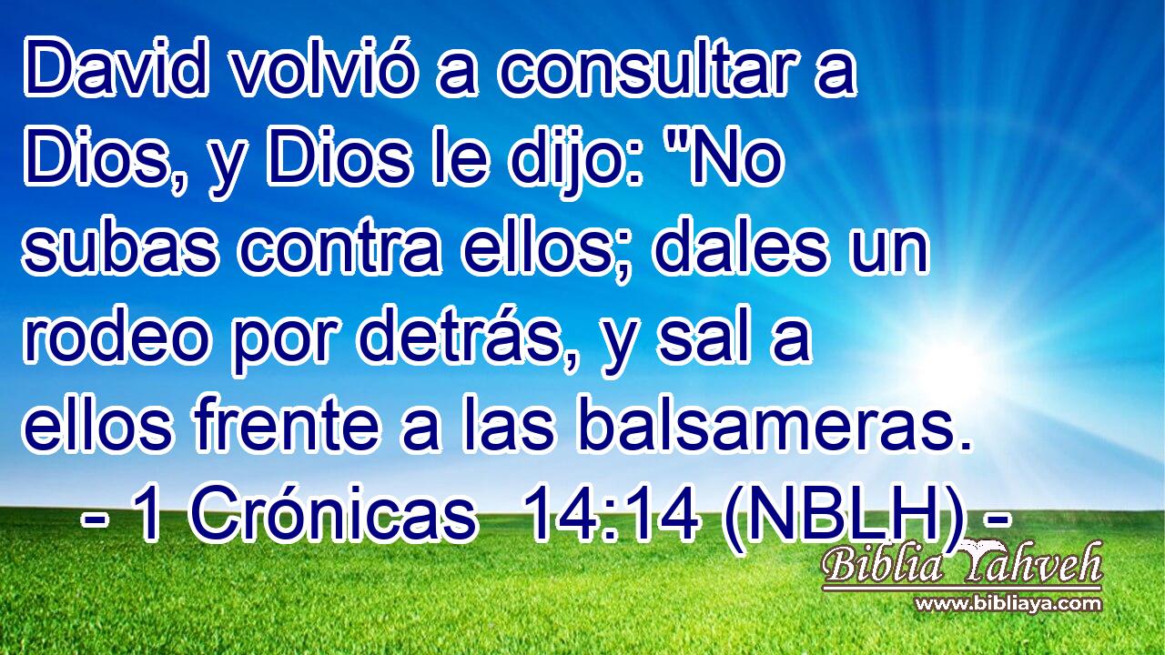  David volvió a consultar a Dios, y Dios le dijo: 