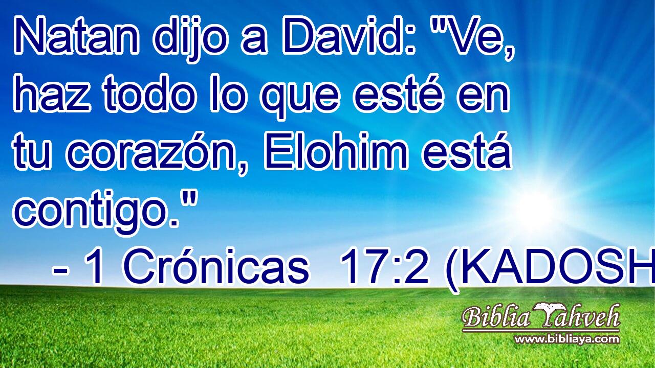  Natan dijo a David: 