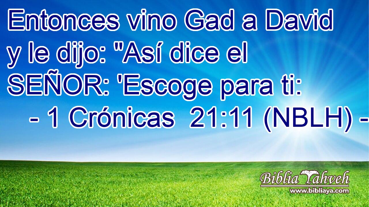  Entonces vino Gad a David y le dijo: 