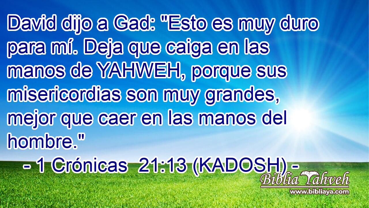  David dijo a Gad: 