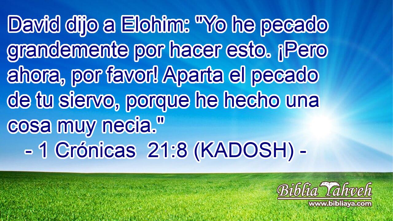  David dijo a Elohim: 