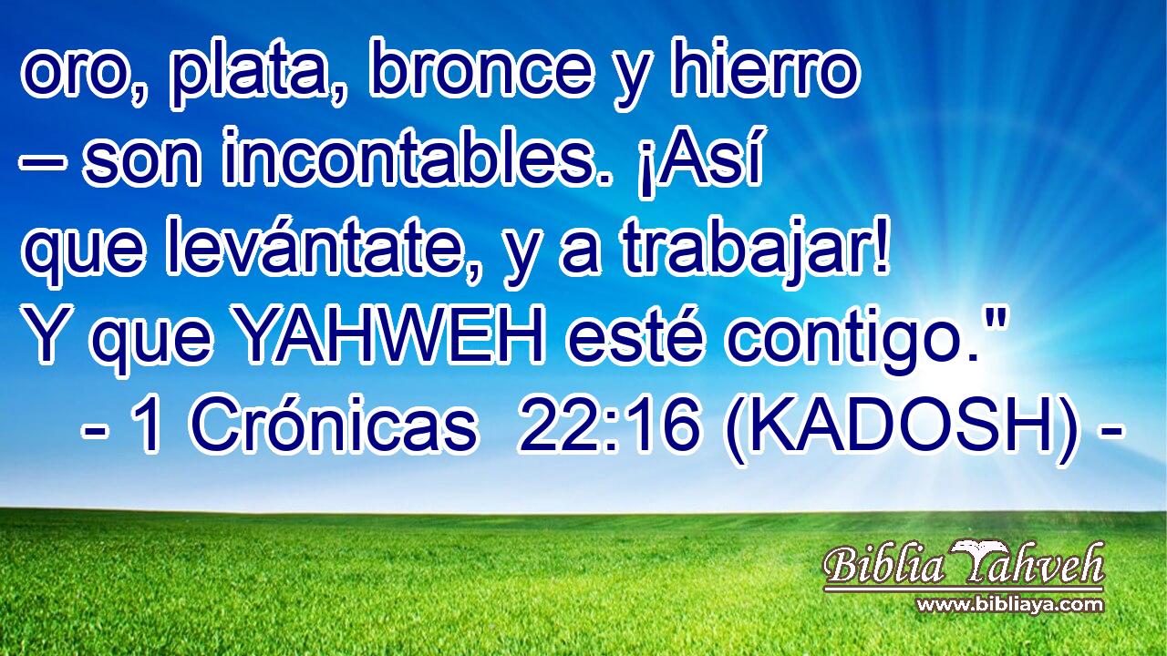  oro, plata, bronce y hierro – son incontables. ¡Así que levántate, y a trabajar! Y que YAHWEH esté contigo.