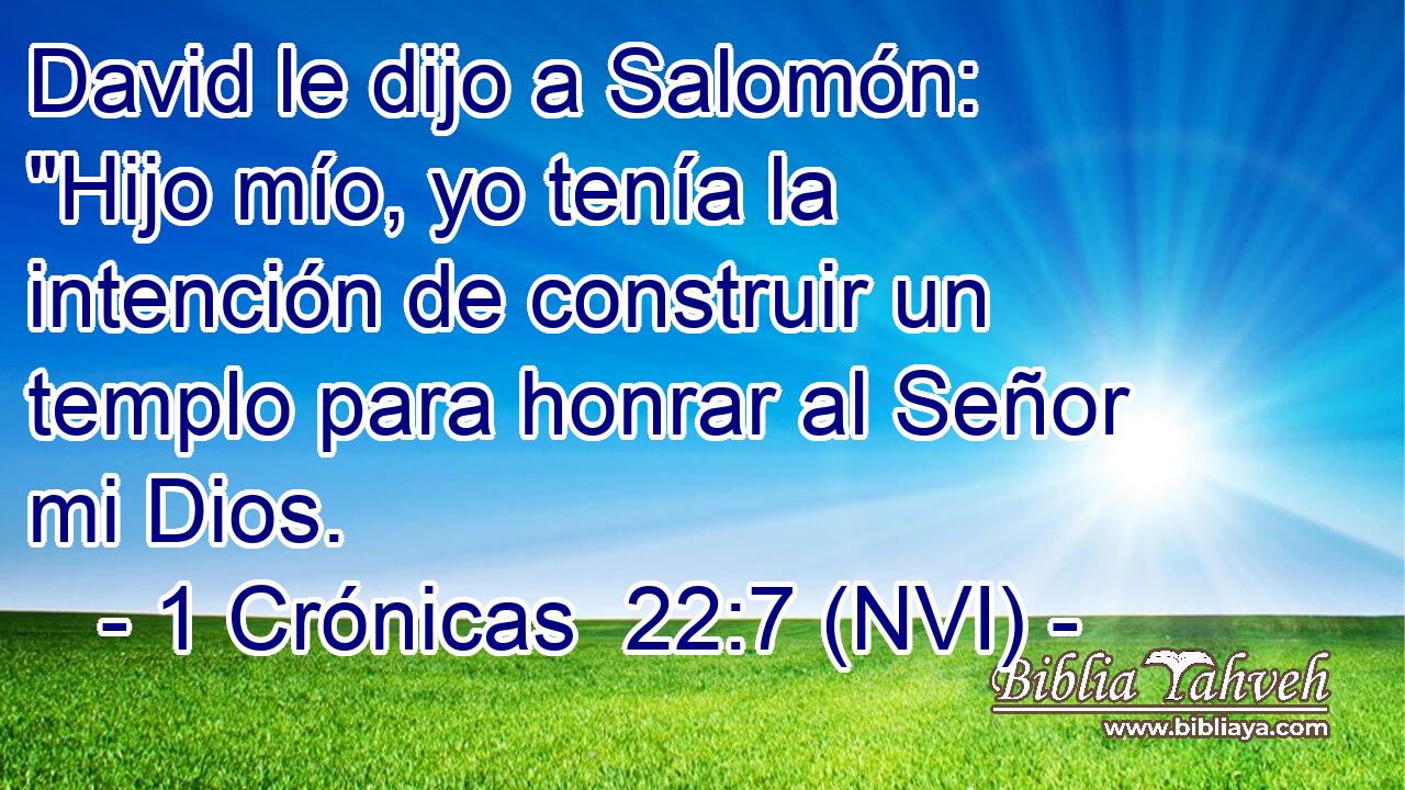  David le dijo a Salomón: 
