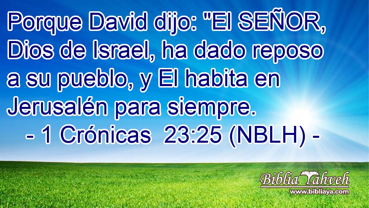  Porque David dijo: 