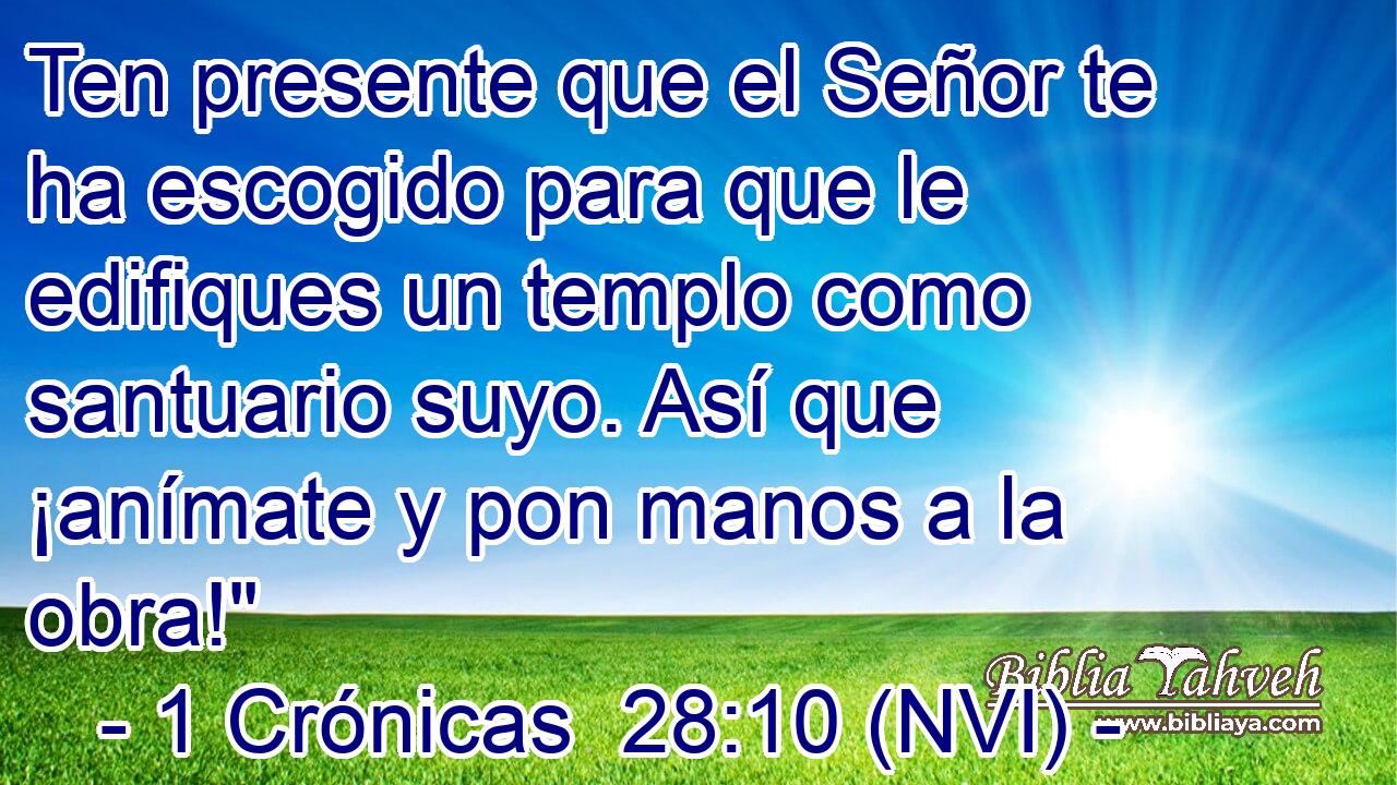  Ten presente que el Señor te ha escogido para que le edifiques un templo como santuario suyo. Así que ¡anímate y pon manos a la obra!