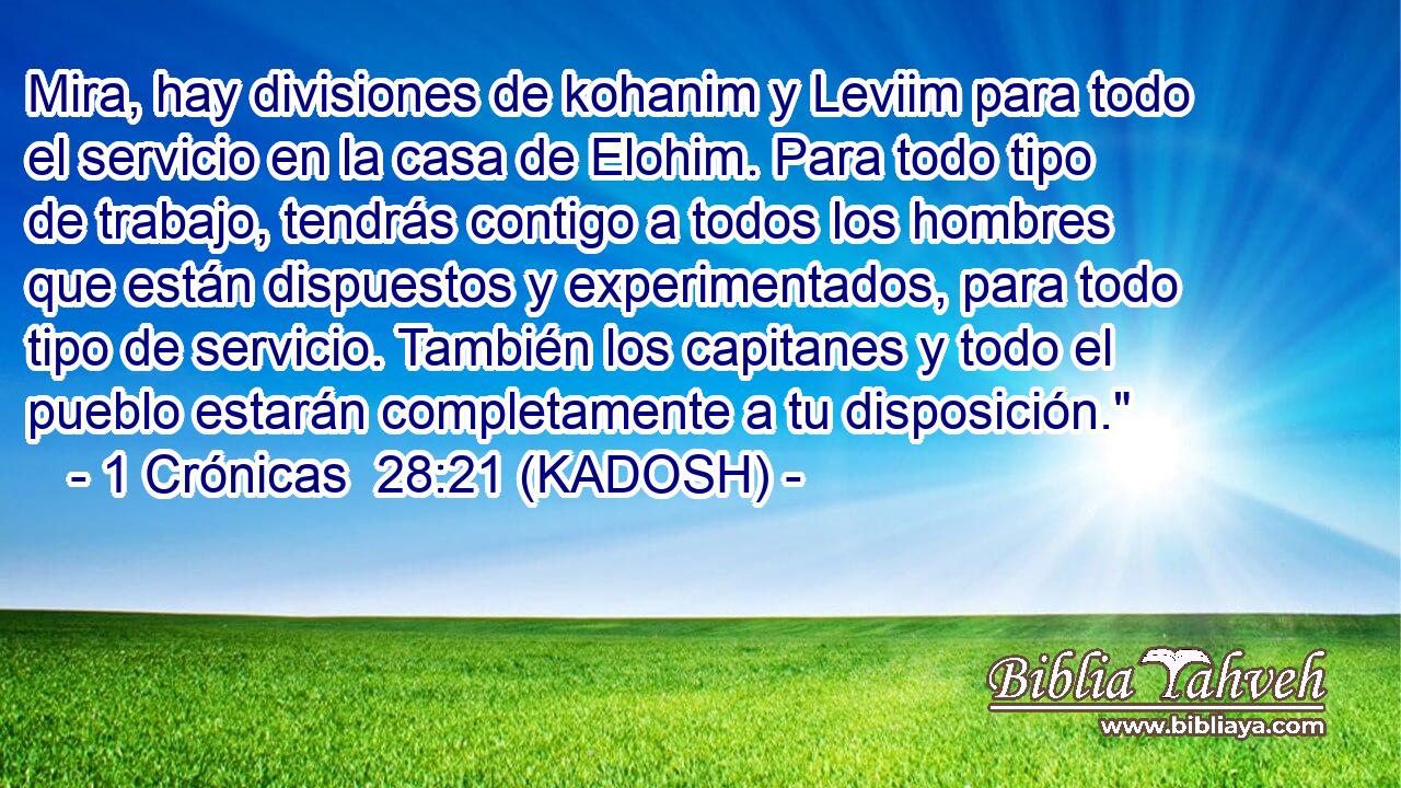  Mira, hay divisiones de kohanim y Leviim para todo el servicio en la casa de Elohim. Para todo tipo de trabajo, tendrás contigo a todos los hombres que están dispuestos y experimentados, para todo tipo de servicio. También los capitanes y todo el pueblo estarán completamente a tu disposición.