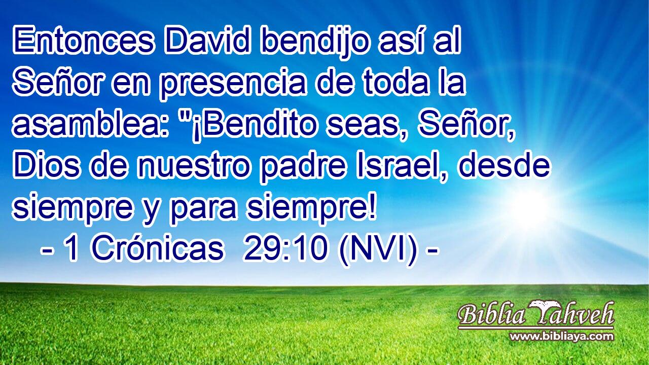  Entonces David bendijo así al Señor en presencia de toda la asamblea: 