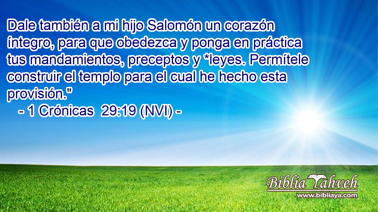  Dale también a mi hijo Salomón un corazón íntegro, para que obedezca y ponga en práctica tus mandamientos, preceptos y *leyes. Permítele construir el templo para el cual he hecho esta provisión.