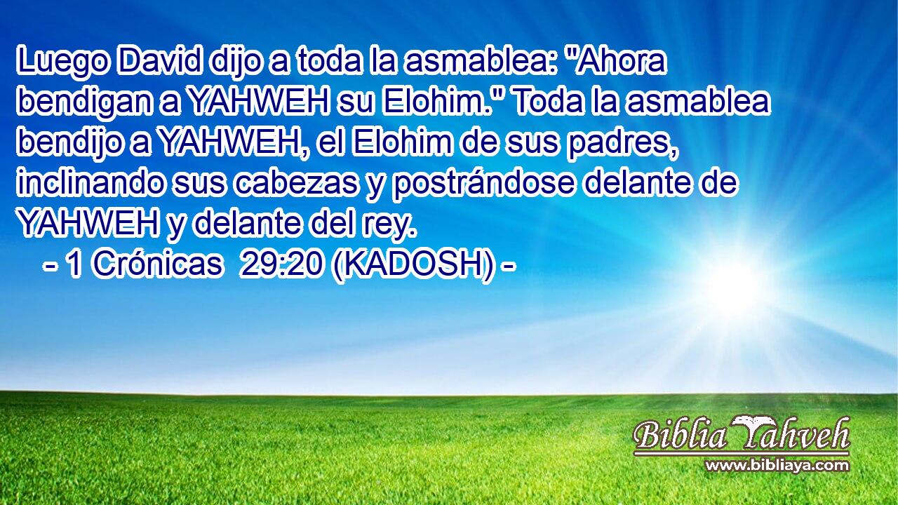  Luego David dijo a toda la asmablea: 