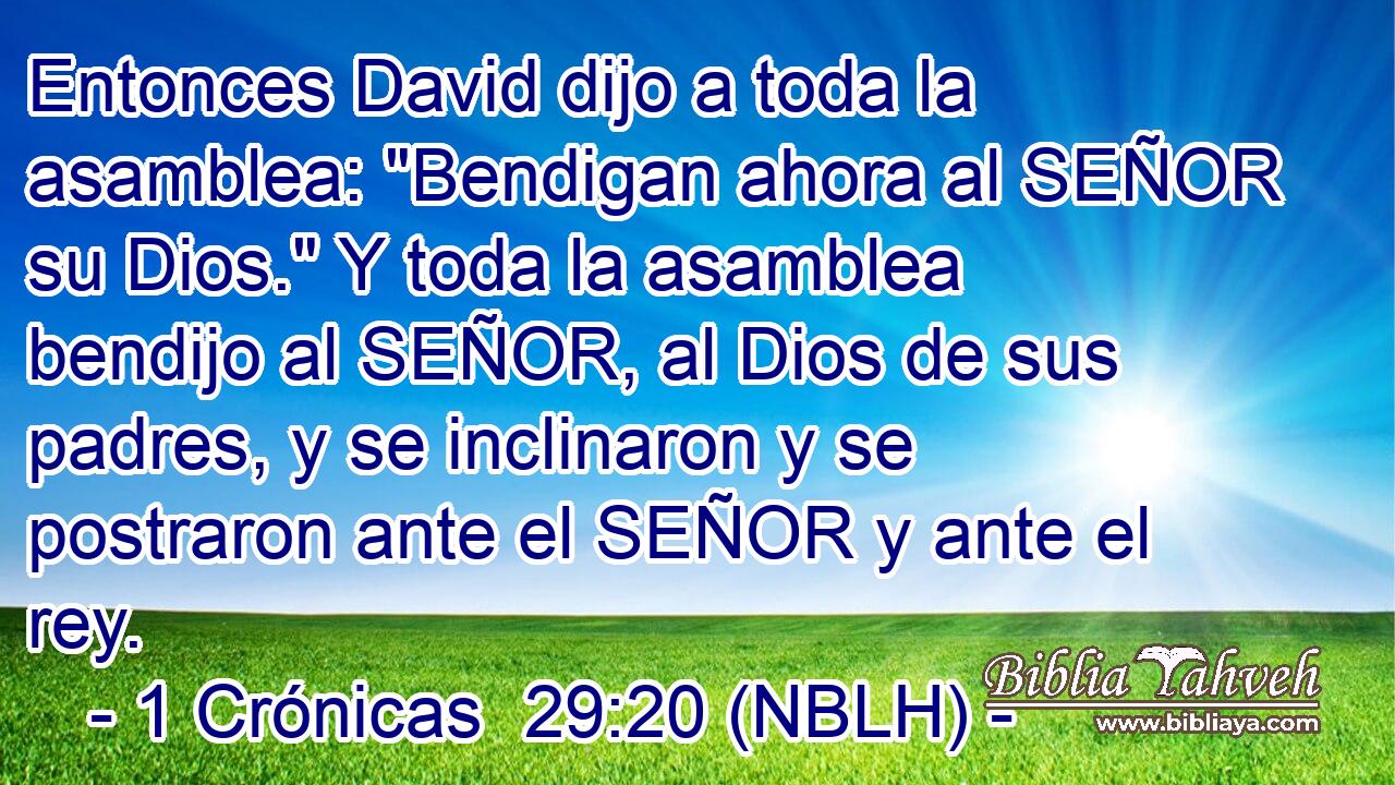  Entonces David dijo a toda la asamblea: 