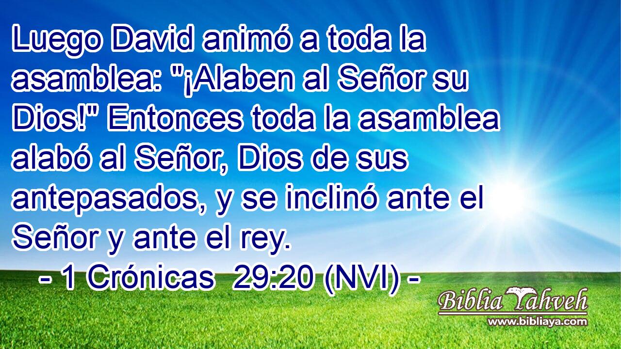  Luego David animó a toda la asamblea: 