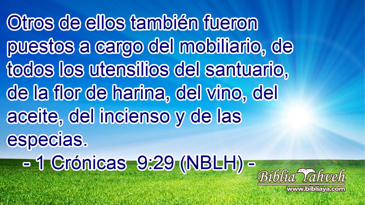  Otros de ellos también fueron puestos a cargo del mobiliario, de todos los utensilios del santuario, de la flor de harina, del vino, del aceite, del incienso y de las especias. 