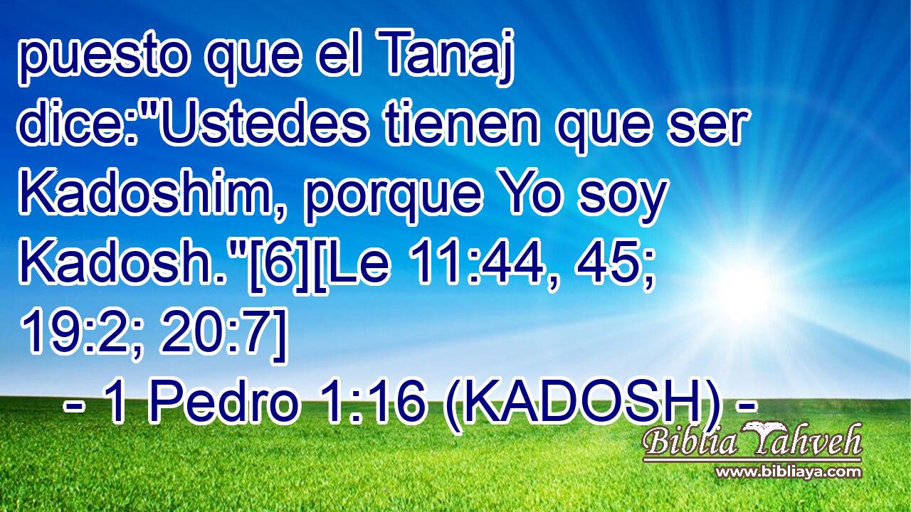  puesto que el Tanaj dice: