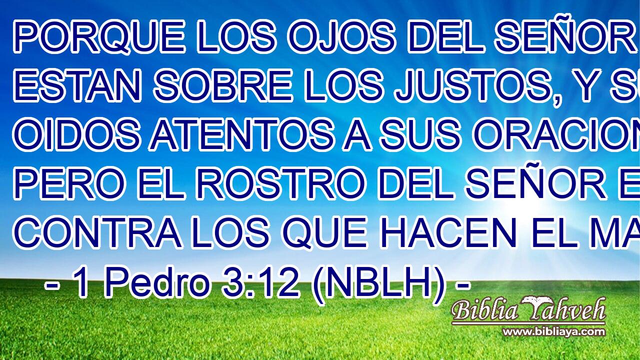  PORQUE LOS OJOS DEL SEÑOR ESTAN SOBRE LOS JUSTOS, Y SUS OIDOS ATENTOS A SUS ORACIONES; PERO EL ROSTRO DEL SEÑOR ESTA CONTRA LOS QUE HACEN EL MAL.