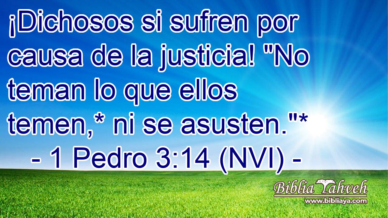  ¡Dichosos si sufren por causa de la justicia! 