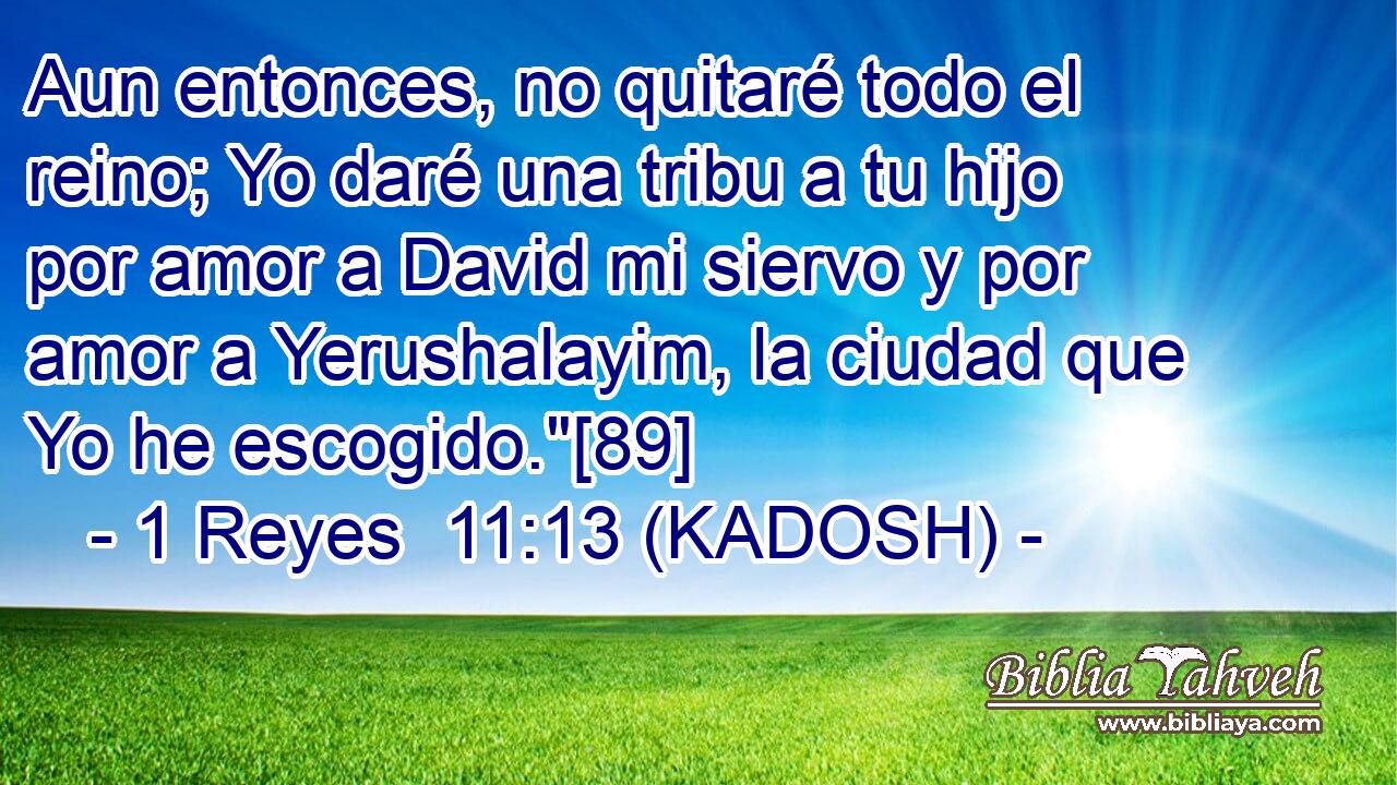  Aun entonces, no quitaré todo el reino; Yo daré una tribu a tu hijo por amor a David mi siervo y por amor a Yerushalayim, la ciudad que Yo he escogido.