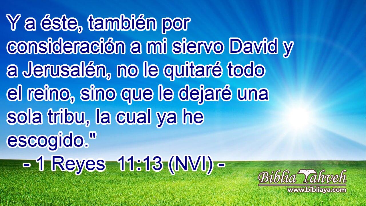  Y a éste, también por consideración a mi siervo David y a Jerusalén, no le quitaré todo el reino, sino que le dejaré una sola tribu, la cual ya he escogido.