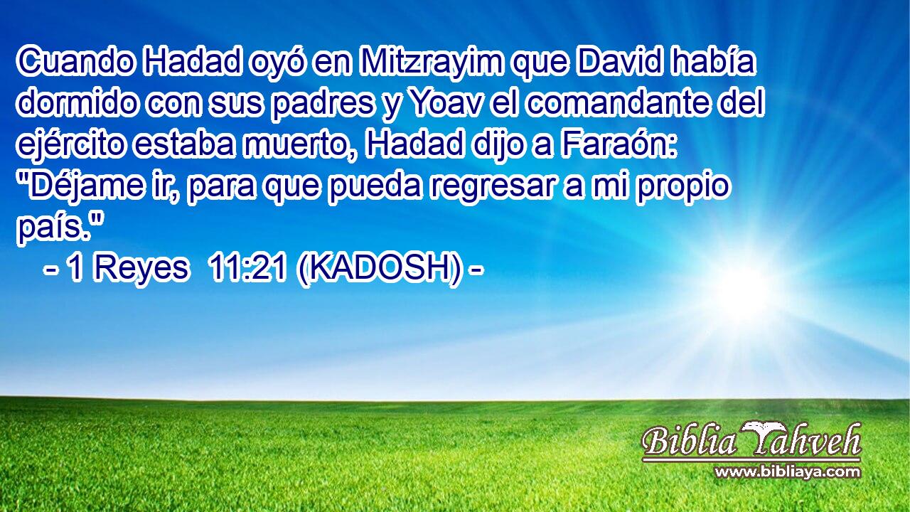  Cuando Hadad oyó en Mitzrayim que David había dormido con sus padres y Yoav el comandante del ejército estaba muerto, Hadad dijo a Faraón: 