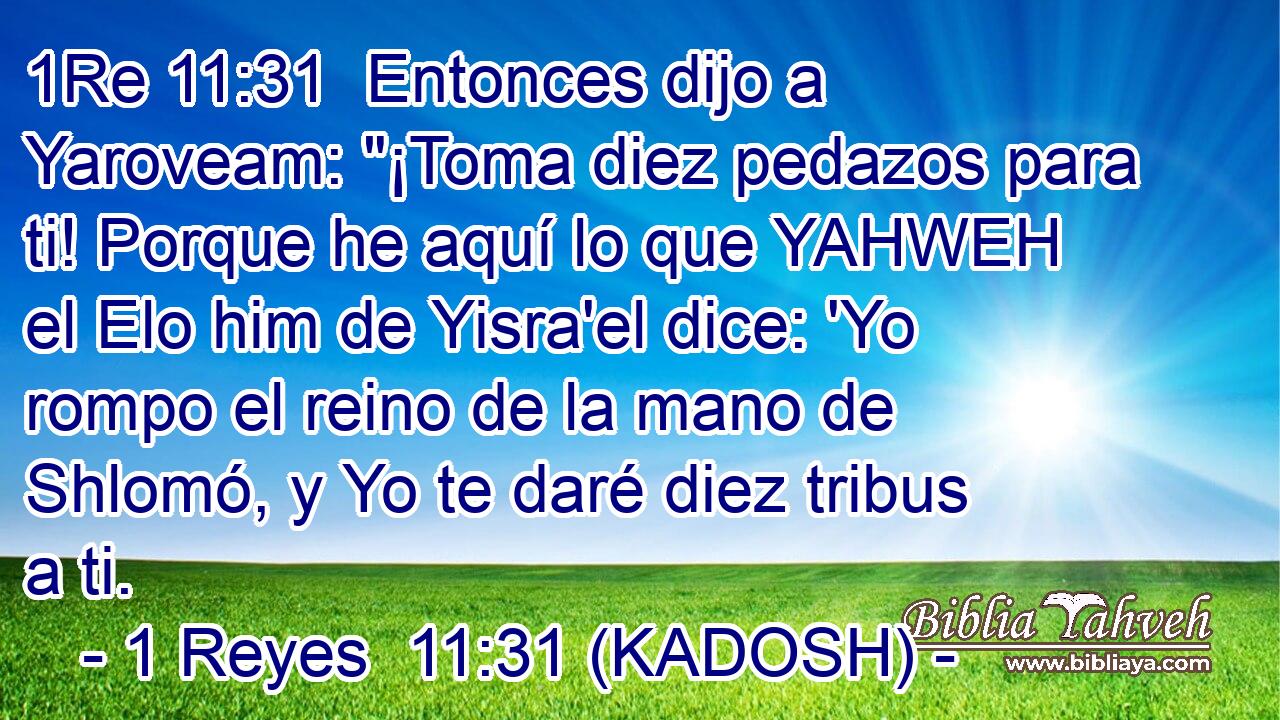  Entonces dijo a Yaroveam: 