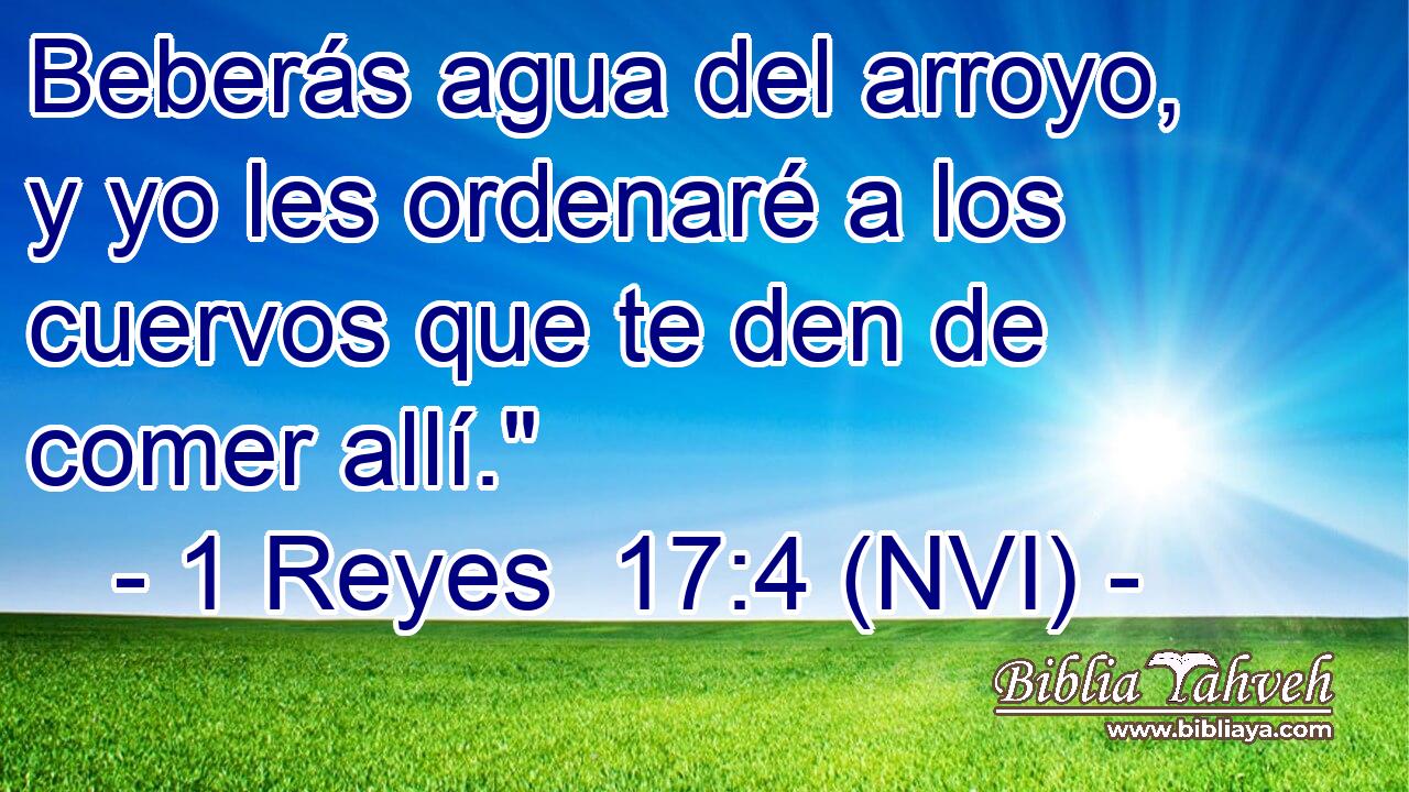  Beberás agua del arroyo, y yo les ordenaré a los cuervos que te den de comer allí.