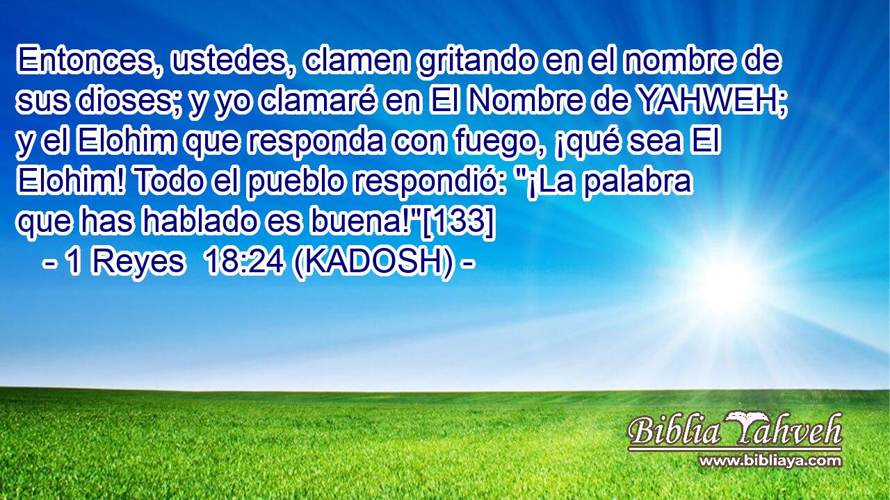  Entonces, ustedes, clamen gritando en el nombre de sus dioses; y yo clamaré en El Nombre de YAHWEH; y el Elohim que responda con fuego, ¡qué sea El Elohim! Todo el pueblo respondió: 