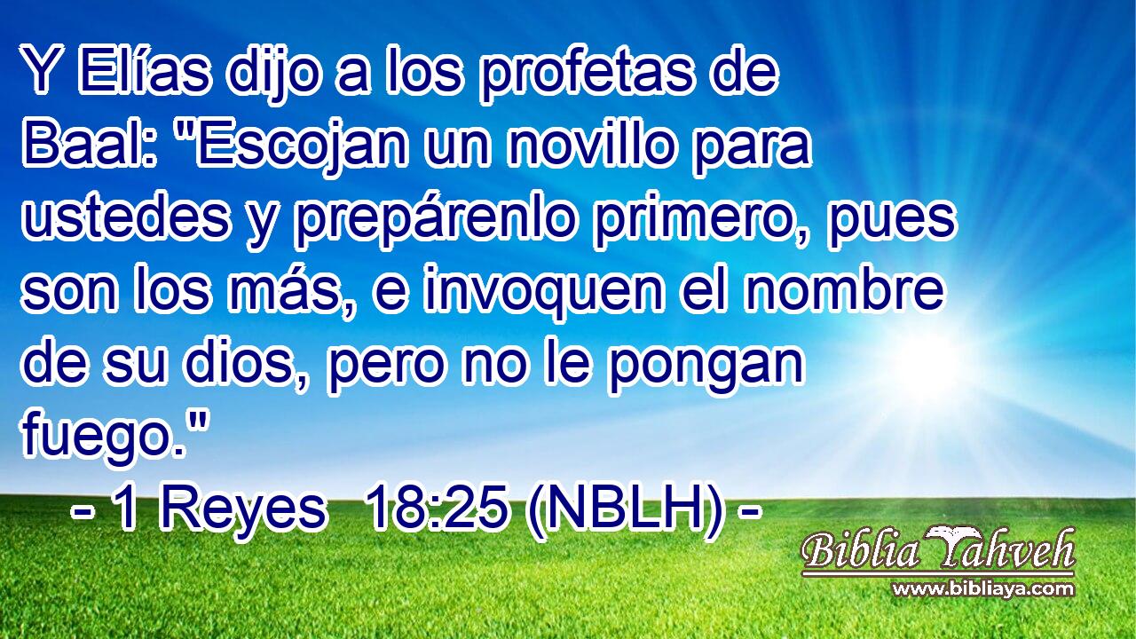  Y Elías dijo a los profetas de Baal: 
