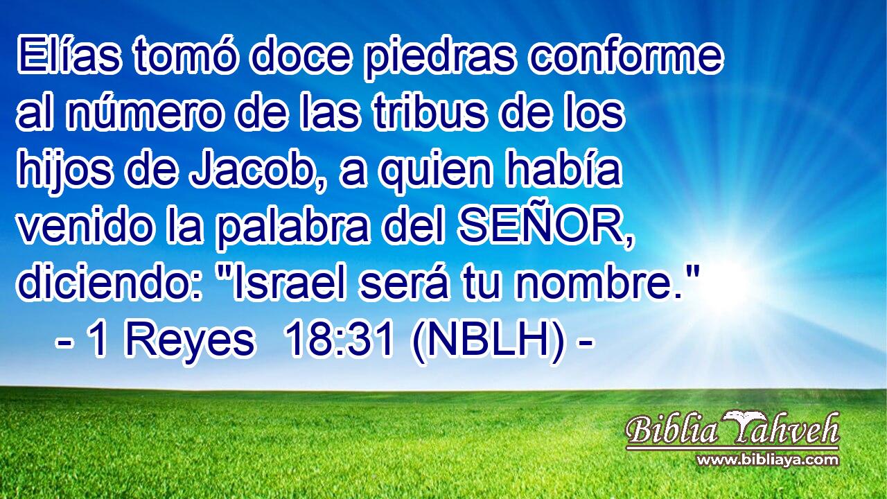  Elías tomó doce piedras conforme al número de las tribus de los hijos de Jacob, a quien había venido la palabra del SEÑOR, diciendo: 
