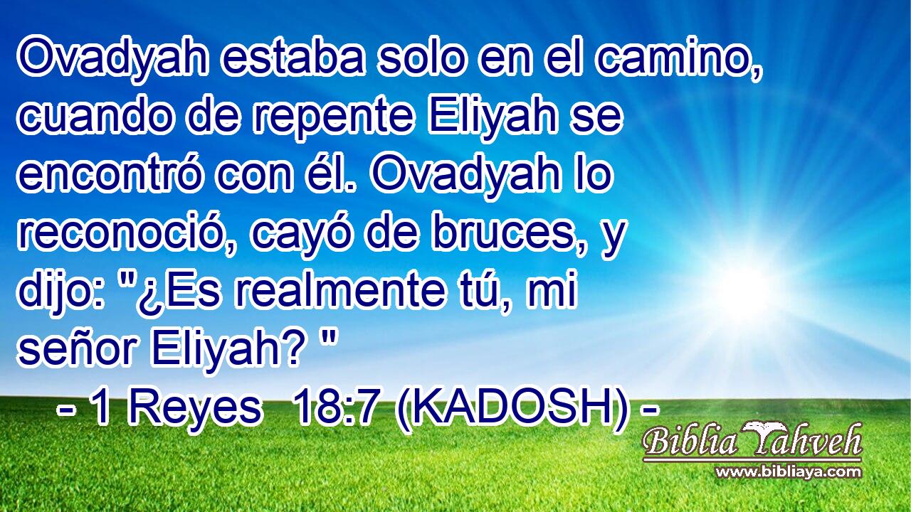  Ovadyah estaba solo en el camino, cuando de repente Eliyah se encontró con él. Ovadyah lo reconoció, cayó de bruces, y dijo: 