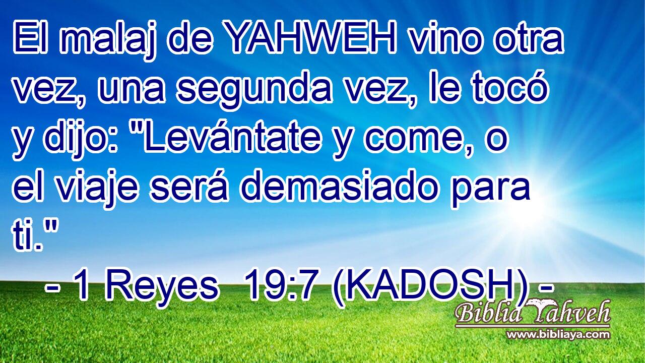  El malaj de YAHWEH vino otra vez, una segunda vez, le tocó y dijo: 