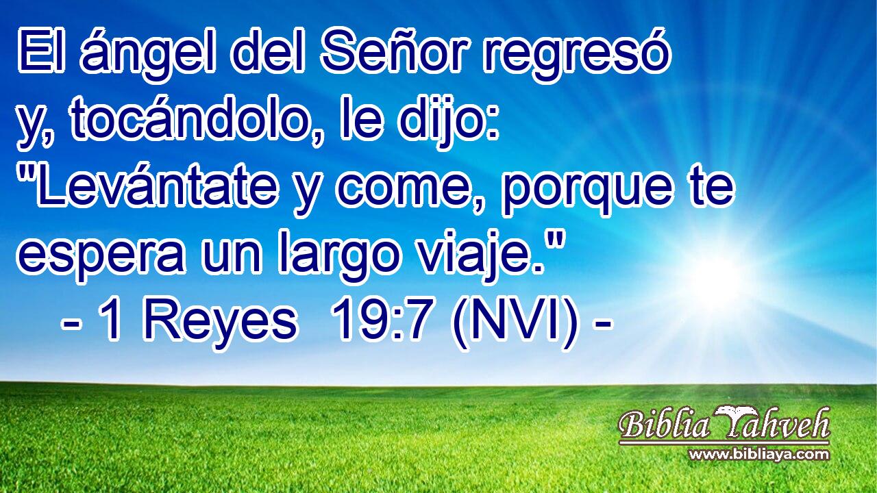  El ángel del Señor regresó y, tocándolo, le dijo: 