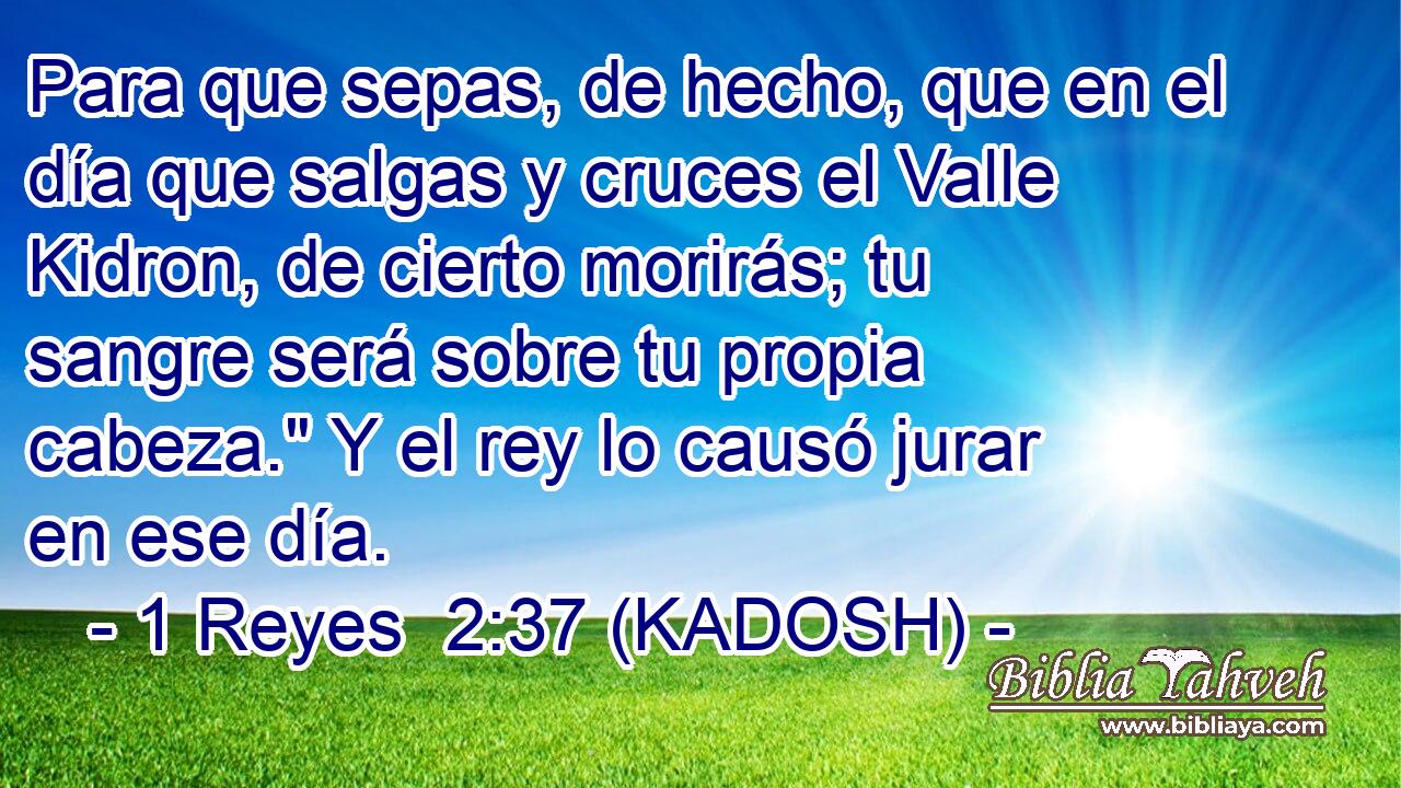  Para que sepas, de hecho, que en el día que salgas y cruces el Valle Kidron, de cierto morirás; tu sangre será sobre tu propia cabeza.