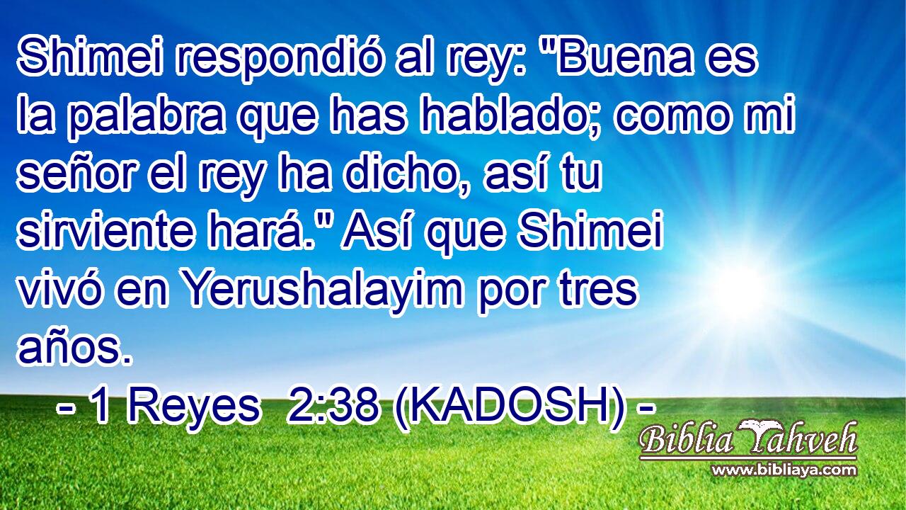  Shimei respondió al rey: 