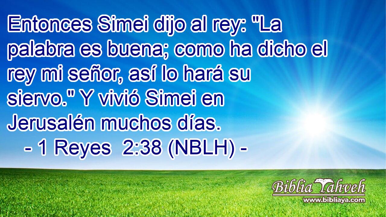  Entonces Simei dijo al rey: 