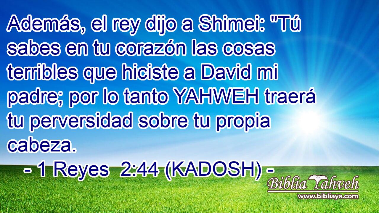  Además, el rey dijo a Shimei: 