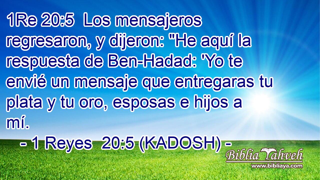  Los mensajeros regresaron, y dijeron: 