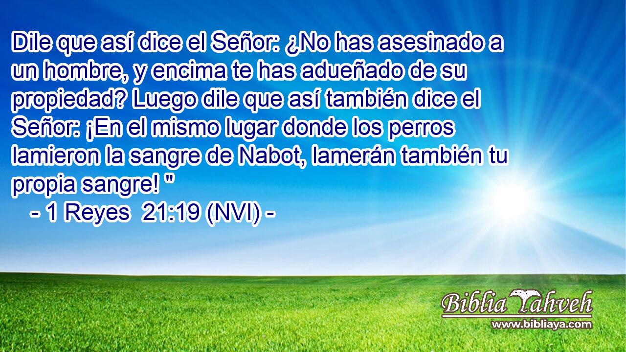  Dile que así dice el Señor: ¿No has asesinado a un hombre, y encima te has adueñado de su propiedad? Luego dile que así también dice el Señor: ¡En el mismo lugar donde los perros lamieron la sangre de Nabot, lamerán también tu propia sangre! 