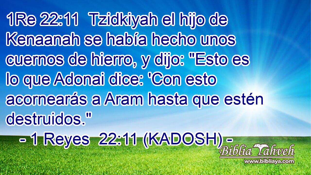  Tzidkiyah el hijo de Kenaanah se había hecho unos cuernos de hierro, y dijo: 