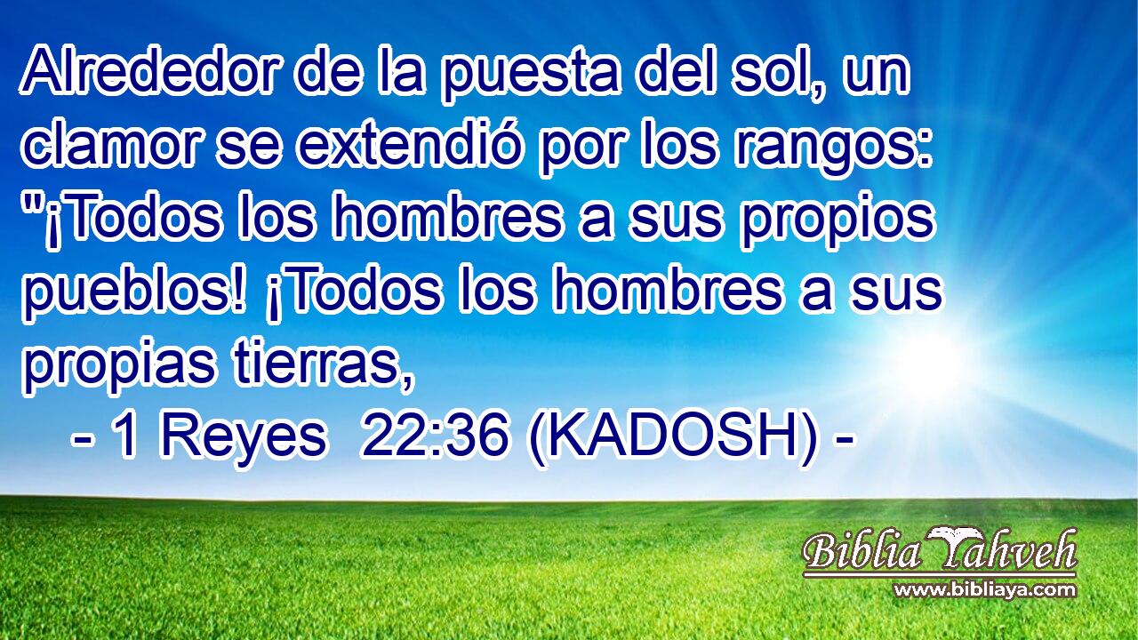  Alrededor de la puesta del sol, un clamor se extendió por los rangos: 
